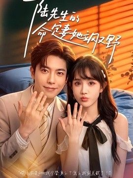 陆先生的命定妻她飒又野海报